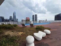 Blk 1 The Pinnacle@Duxton (Bukit Merah), HDB 4 Rooms #524619451